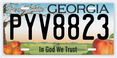 GA license plate PYV8823
