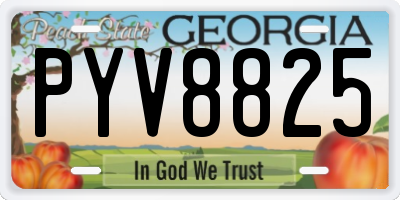 GA license plate PYV8825