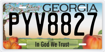 GA license plate PYV8827