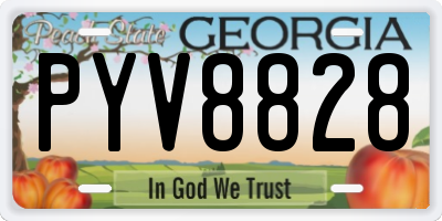 GA license plate PYV8828