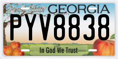 GA license plate PYV8838