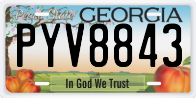 GA license plate PYV8843