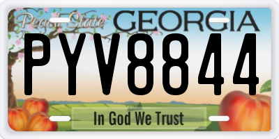 GA license plate PYV8844
