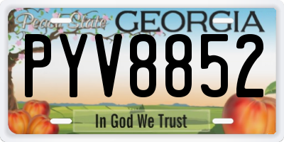 GA license plate PYV8852