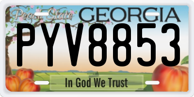 GA license plate PYV8853