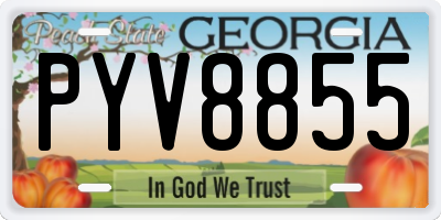 GA license plate PYV8855