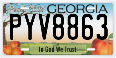 GA license plate PYV8863
