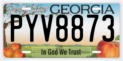 GA license plate PYV8873