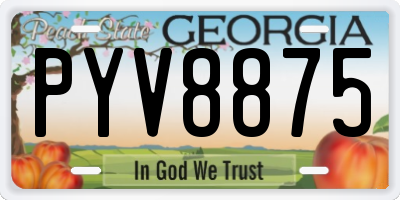 GA license plate PYV8875