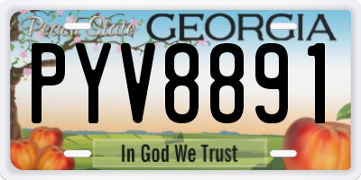 GA license plate PYV8891