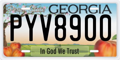 GA license plate PYV8900