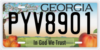 GA license plate PYV8901