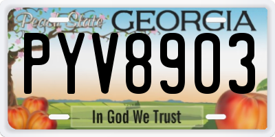 GA license plate PYV8903