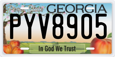 GA license plate PYV8905