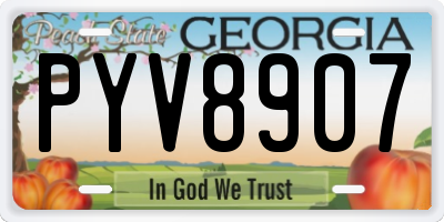 GA license plate PYV8907