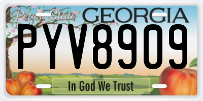 GA license plate PYV8909