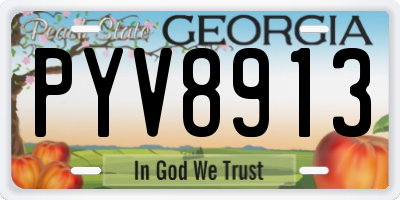 GA license plate PYV8913