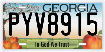 GA license plate PYV8915