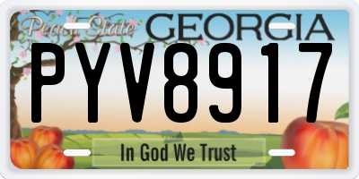 GA license plate PYV8917
