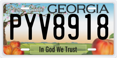 GA license plate PYV8918