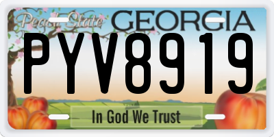 GA license plate PYV8919
