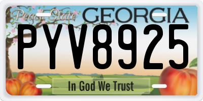 GA license plate PYV8925