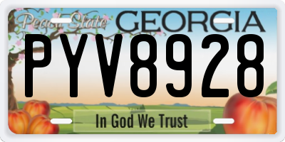 GA license plate PYV8928