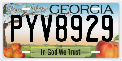 GA license plate PYV8929
