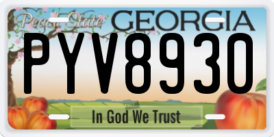 GA license plate PYV8930