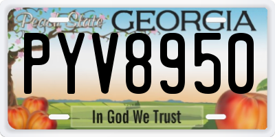 GA license plate PYV8950