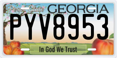 GA license plate PYV8953