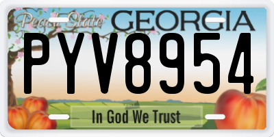 GA license plate PYV8954