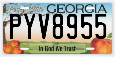 GA license plate PYV8955