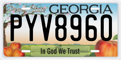 GA license plate PYV8960
