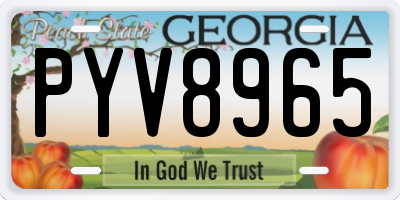 GA license plate PYV8965