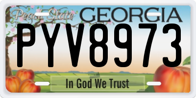 GA license plate PYV8973