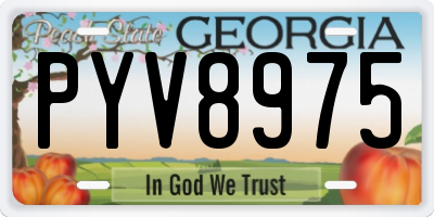 GA license plate PYV8975
