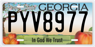 GA license plate PYV8977