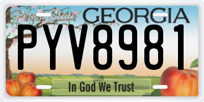 GA license plate PYV8981