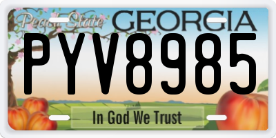 GA license plate PYV8985