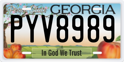 GA license plate PYV8989