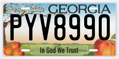 GA license plate PYV8990