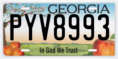 GA license plate PYV8993