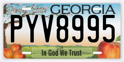 GA license plate PYV8995