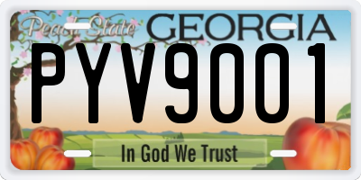 GA license plate PYV9001