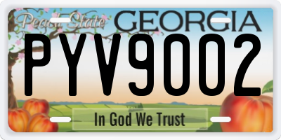 GA license plate PYV9002