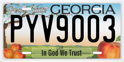 GA license plate PYV9003