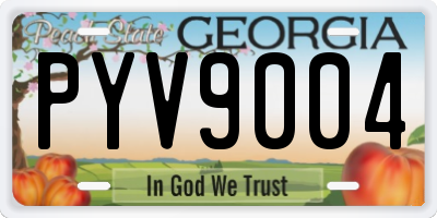 GA license plate PYV9004