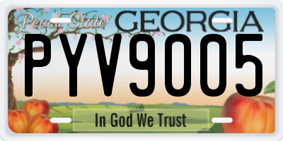 GA license plate PYV9005