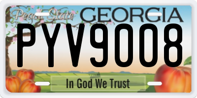 GA license plate PYV9008